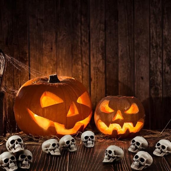 10 Pieces Halloween Skeleton Head Small Mini Skulls for Halloween Party - Picture 2 of 6